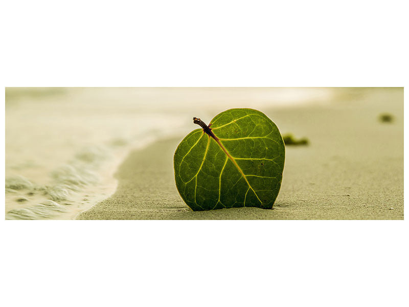 5-piece-canvas-print-beach-leaf