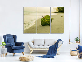 modern-3-piece-canvas-print-beach-leaf