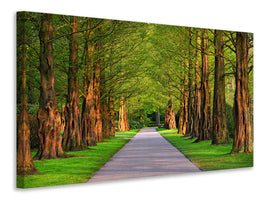 panoramic-3-piece-canvas-print-beautiful-avenue-in-nature