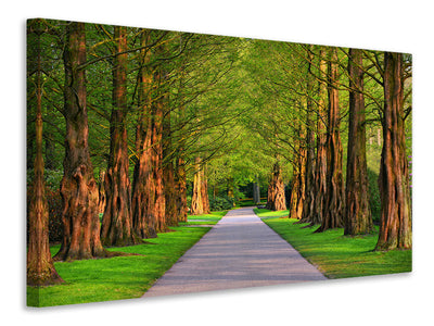 panoramic-3-piece-canvas-print-beautiful-avenue-in-nature