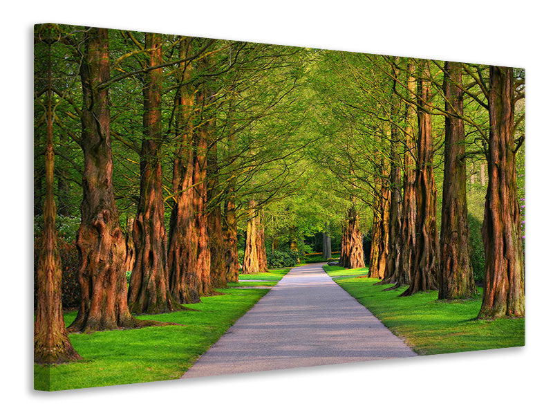 4-piece-canvas-print-beautiful-avenue-in-nature