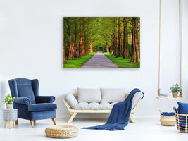 panoramic-3-piece-canvas-print-beautiful-avenue-in-nature