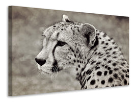 3-piece-canvas-print-beautiful-cheetah