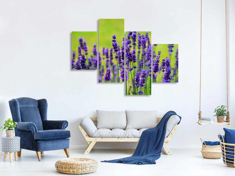3-piece-canvas-print-beautiful-lavender