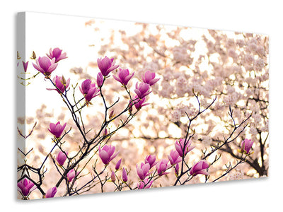 modern-3-piece-canvas-print-beautiful-magnolia-xl