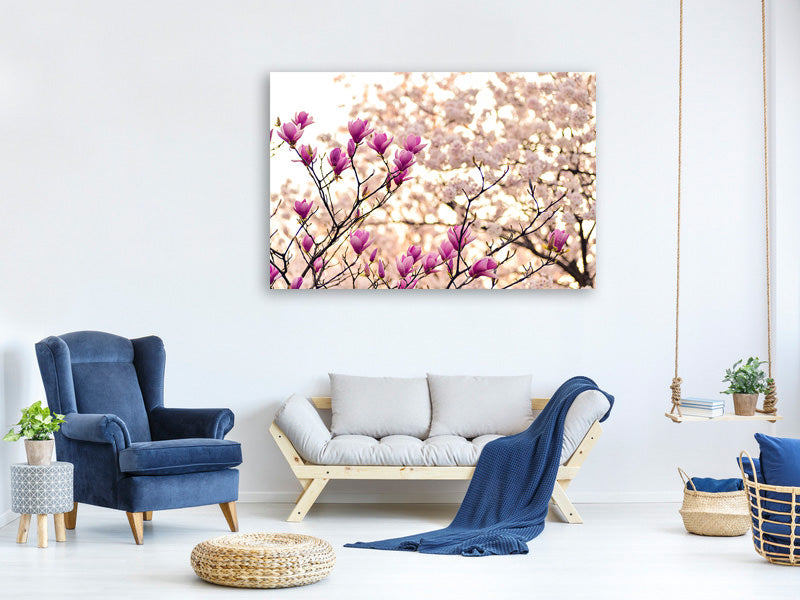 4-piece-canvas-print-beautiful-magnolia-xl