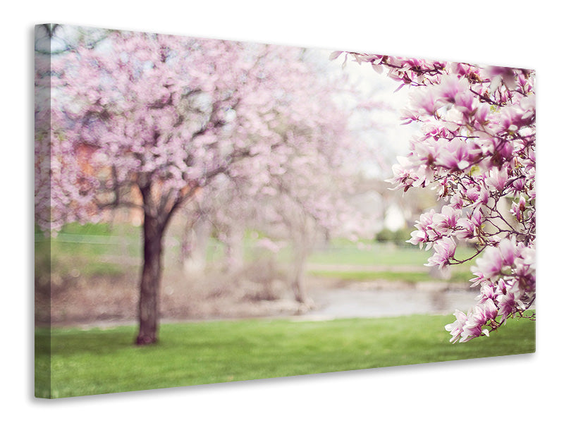5-piece-canvas-print-beautiful-magnolias