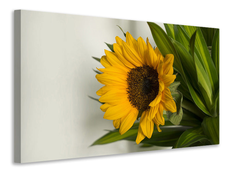 3-piece-canvas-print-beautiful-sunflower