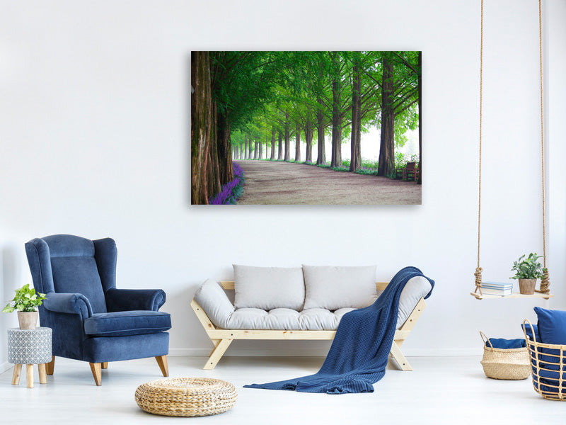 3-piece-canvas-print-beautiful-tree-avenue