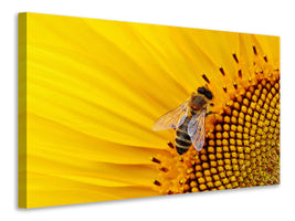 3-piece-canvas-print-bee-on-the-sunflower