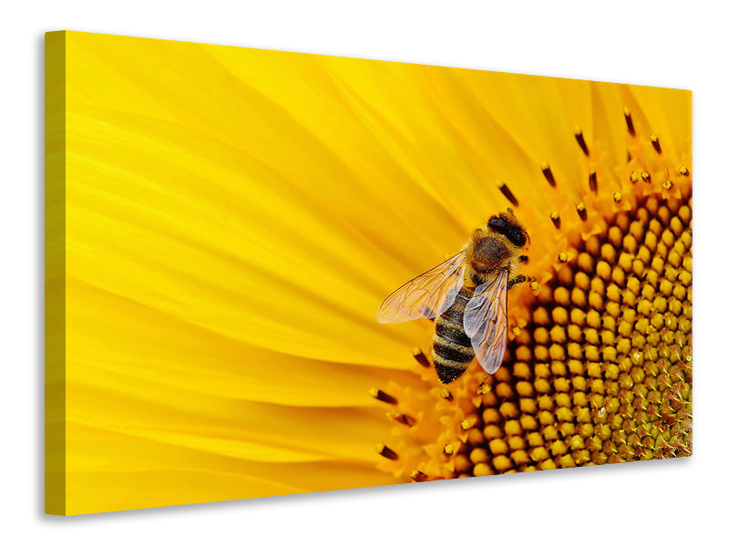 3-piece-canvas-print-bee-on-the-sunflower