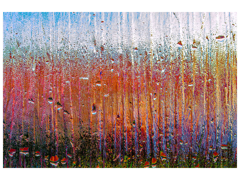modern-4-piece-canvas-print-behind-glass
