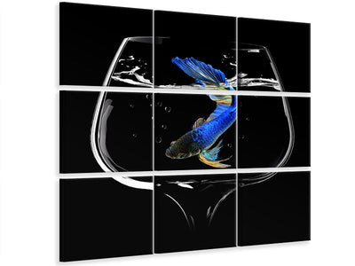canvas-print-betta-fish-dance