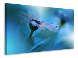 5-piece-canvas-print-beyond-the-visible