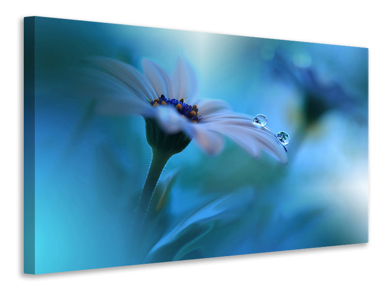 5-piece-canvas-print-beyond-the-visible