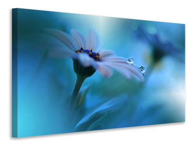 5-piece-canvas-print-beyond-the-visible