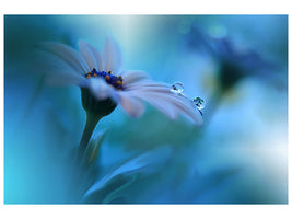 5-piece-canvas-print-beyond-the-visible