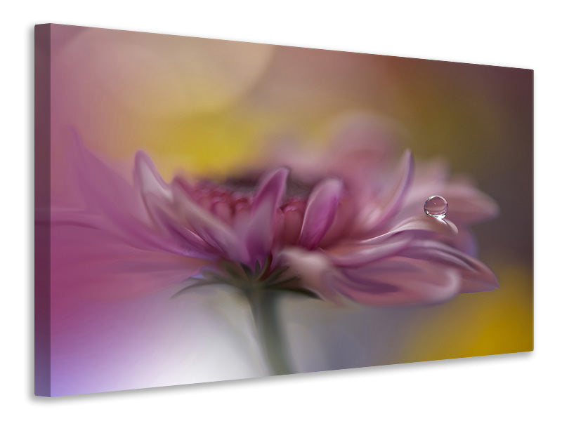 modern-4-piece-canvas-print-beyond-words