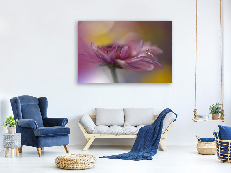 5-piece-canvas-print-beyond-words