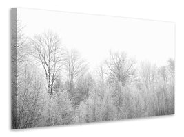 modern-3-piece-canvas-print-birches-in-the-snow
