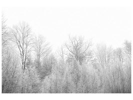 panoramic-3-piece-canvas-print-birches-in-the-snow