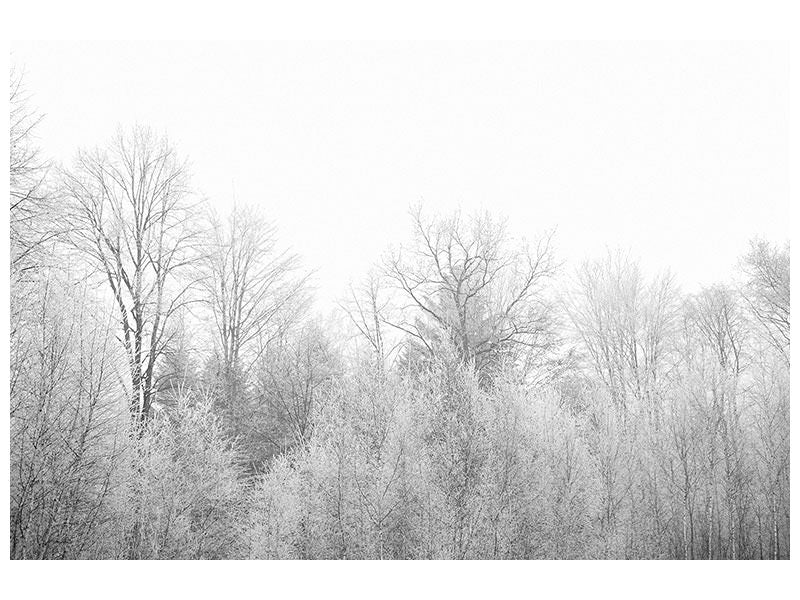 modern-3-piece-canvas-print-birches-in-the-snow