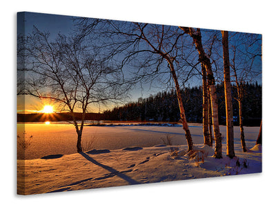 3-piece-canvas-print-birches-in-the-sunset