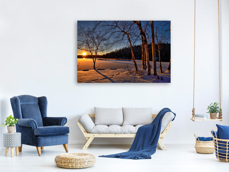 modern-4-piece-canvas-print-birches-in-the-sunset