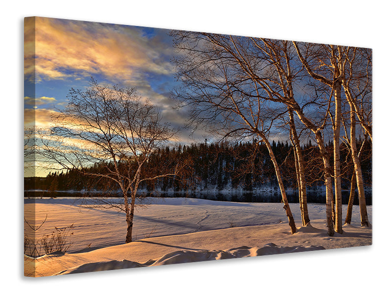 5-piece-canvas-print-birches-in-the-winter