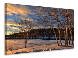 modern-4-piece-canvas-print-birches-in-the-winter