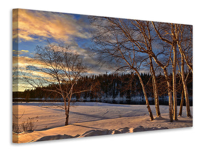 4-piece-canvas-print-birches-in-the-winter