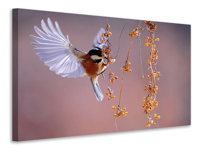 3-piece-canvas-print-bird-in-action