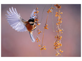 3-piece-canvas-print-bird-in-action