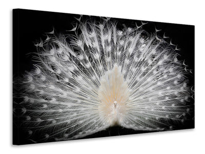 3-piece-canvas-print-black-and-white-v