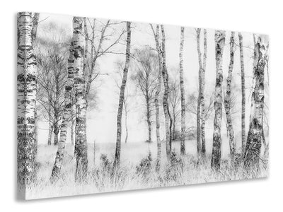 modern-3-piece-canvas-print-black-and-white