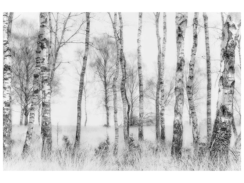 5-piece-canvas-print-black-and-white