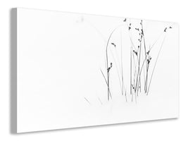 panoramic-canvas-print-black-on-white