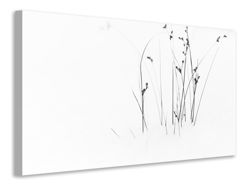 4-piece-canvas-print-black-on-white