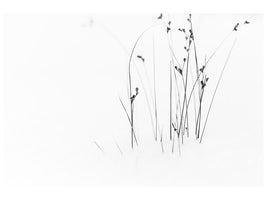 5-piece-canvas-print-black-on-white