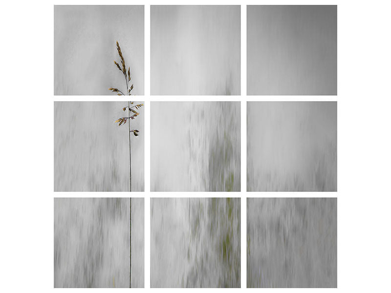 canvas-print-blade-of-grass