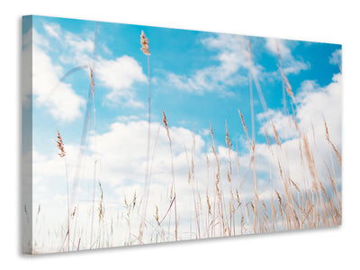 modern-4-piece-canvas-print-blades-of-grass-in-the-sky