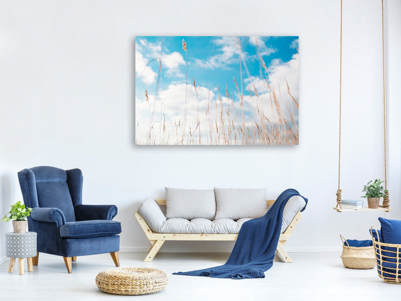 modern-4-piece-canvas-print-blades-of-grass-in-the-sky