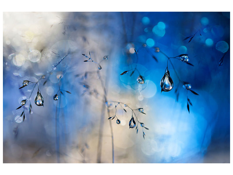 3-piece-canvas-print-blue-rain