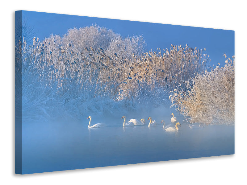 modern-3-piece-canvas-print-blue-swan-lake