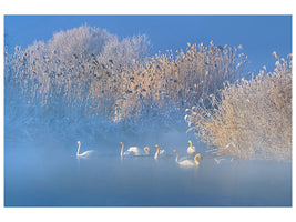 5-piece-canvas-print-blue-swan-lake