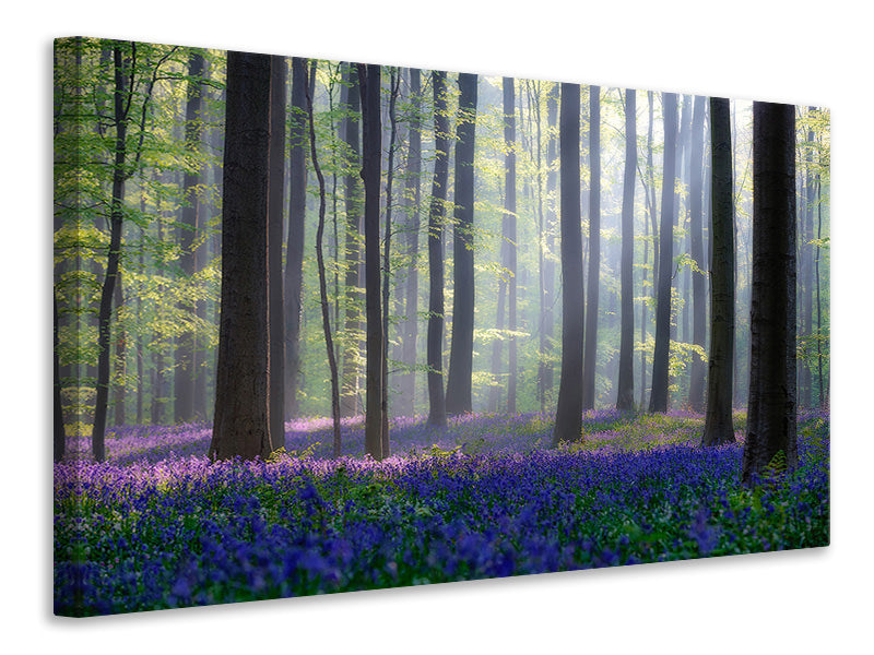 5-piece-canvas-print-bluebells
