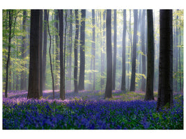modern-3-piece-canvas-print-bluebells