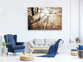 panoramic-3-piece-canvas-print-branches-in-fog-light