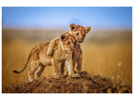 3-piece-canvas-print-brothers-for-life