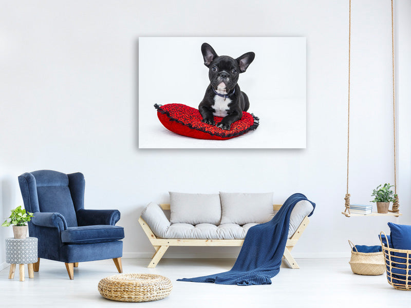 3-piece-canvas-print-bulldog-to-fall-in-love
